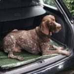 Prelata Impermeabila cu ochiuri metalice de prindere, dimensiune 6,0m x 8,0m, densitate 120g/m2, culoare verde - imagine 5