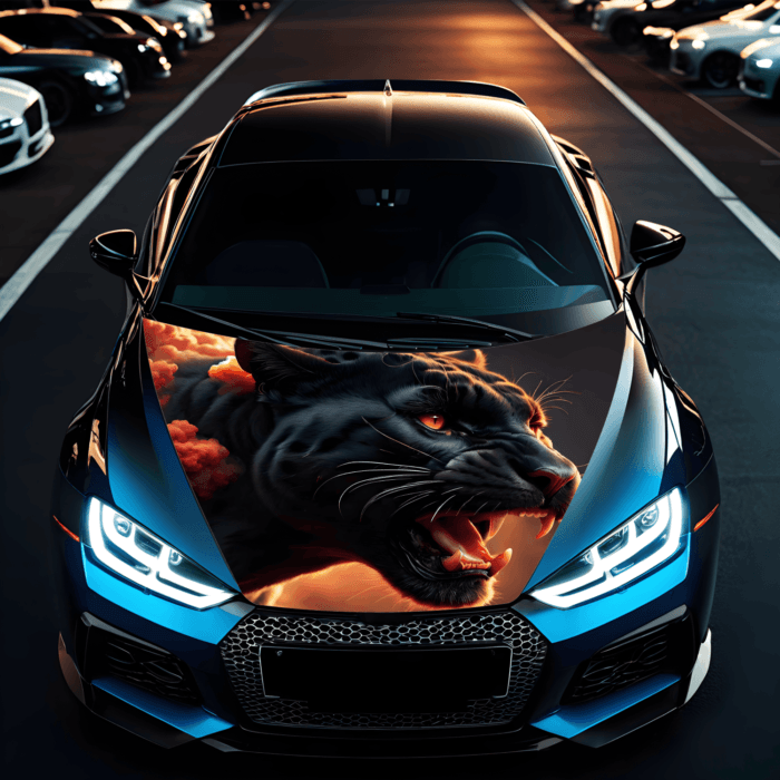 Folie Capota Auto "Hood Art" rezistenta la exterior, marime M (165 x 120cm) - Cod: AVX-CAPOTA-028M - imagine 1
